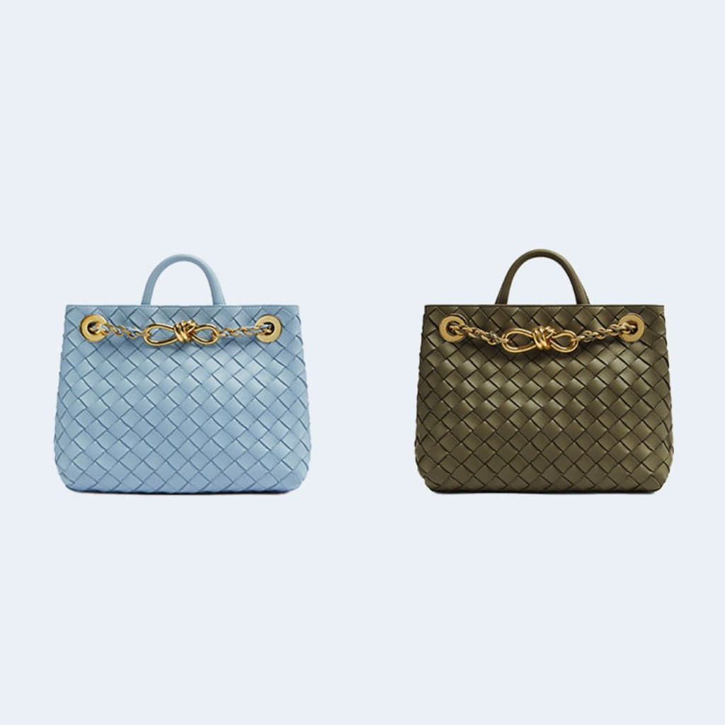 스몰 안디아모 체인 백